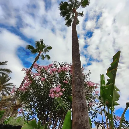 Tartanas Two Bedroom Casa vacanze Playa del Inglés