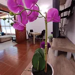 Tartanas Two Bedroom 度假居 普拉亚戴尔雷安格莱斯