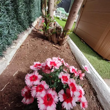 Tartanas Two Bedroom Дом отдыха