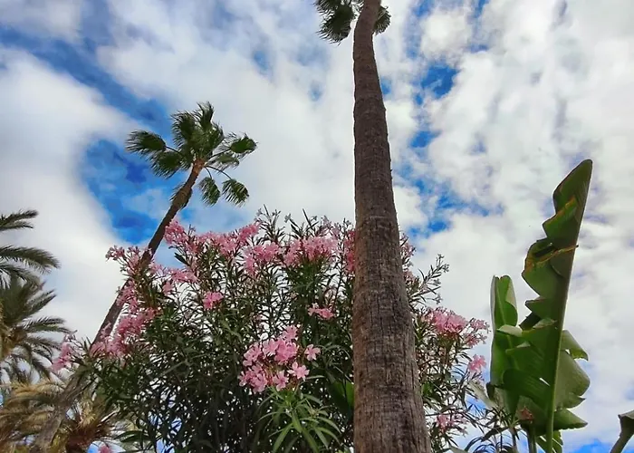 Tartanas Two Bedroom Casa vacanze Playa del Inglés