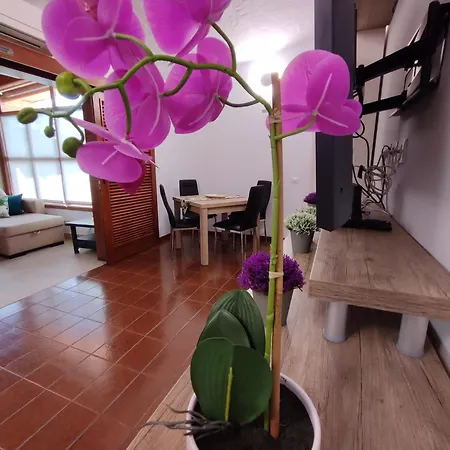 Tartanas Two Bedroom Vakantiehuis Playa del Inglés